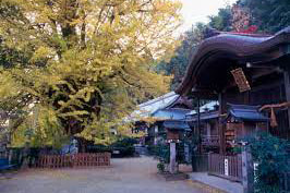 葛城市の出張撮影・カメラマン|神社一覧|笛吹神社