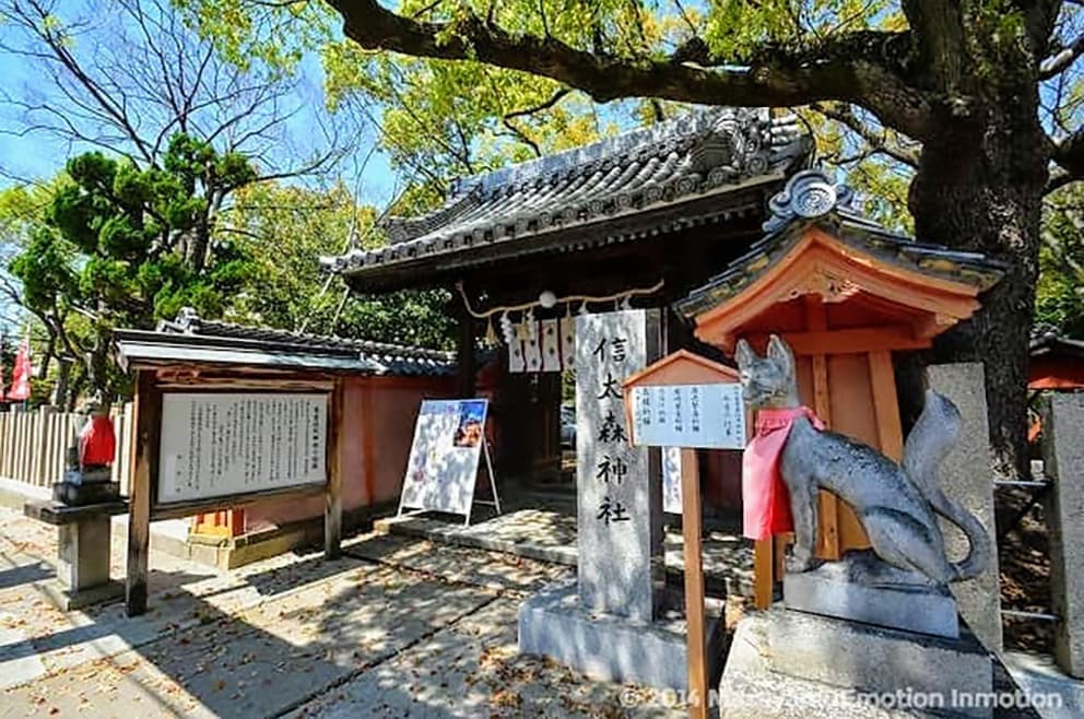 和泉市に鎮座する「信太森葛葉稲荷」|出張撮影・カメラマン